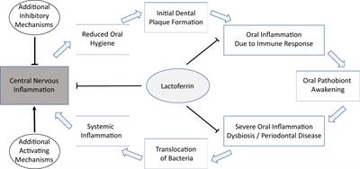 The role of microbiome-host interactions in the development of Alzheimer´s disease